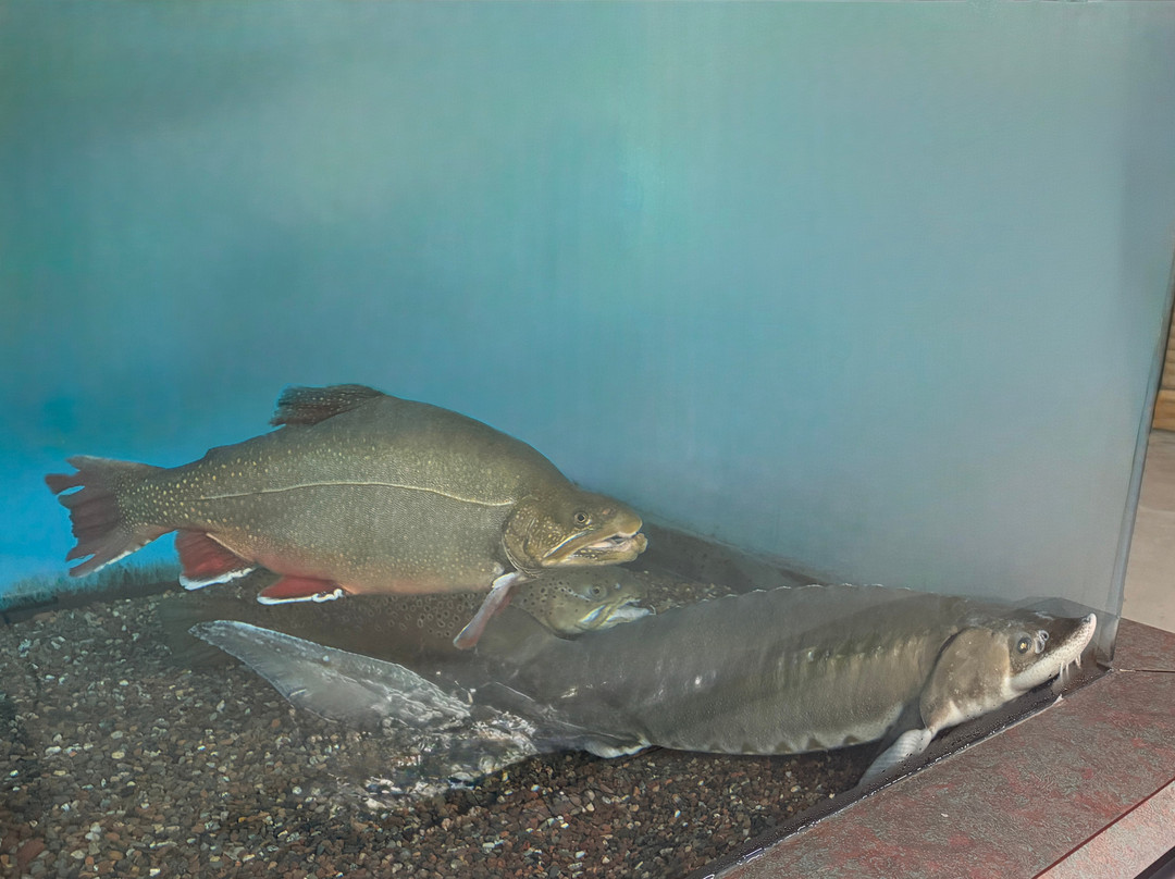 Les Voight State Fish Hatchery Visitor Center-Bayfield必去景点