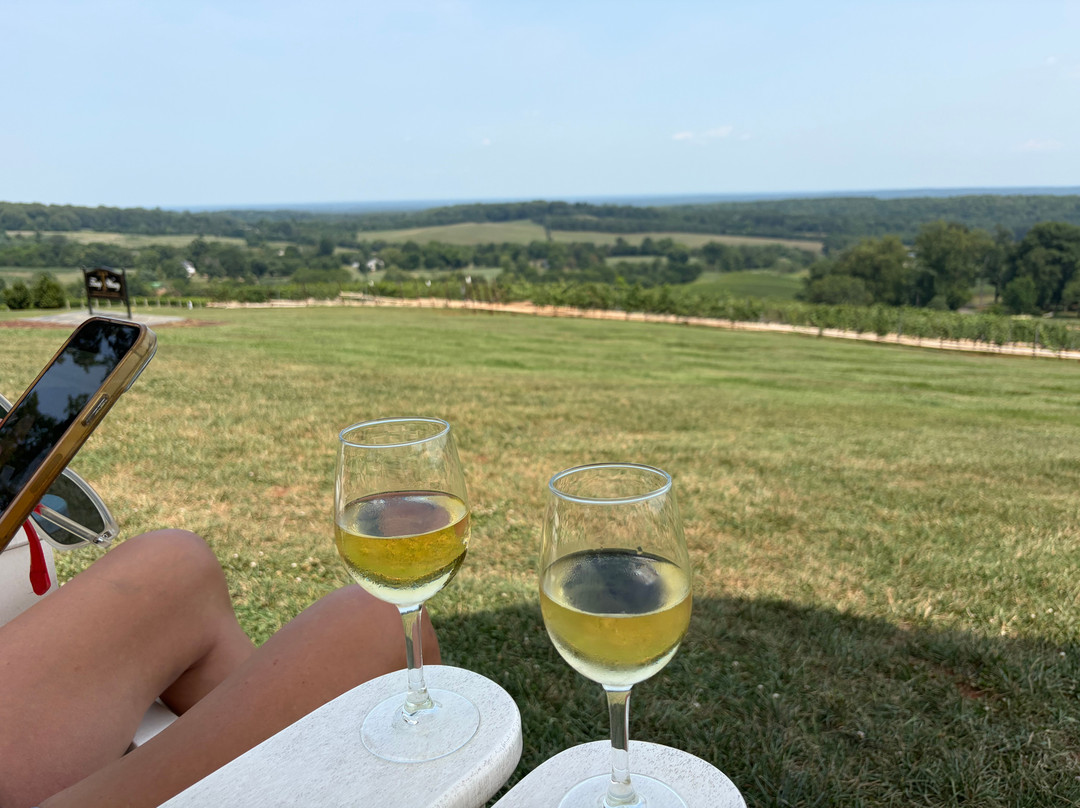 Trump Winery-夏洛茨维尔必去景点