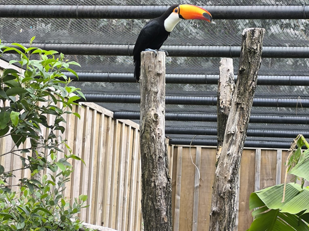 Zoo De Labenne-Labenne必去景点