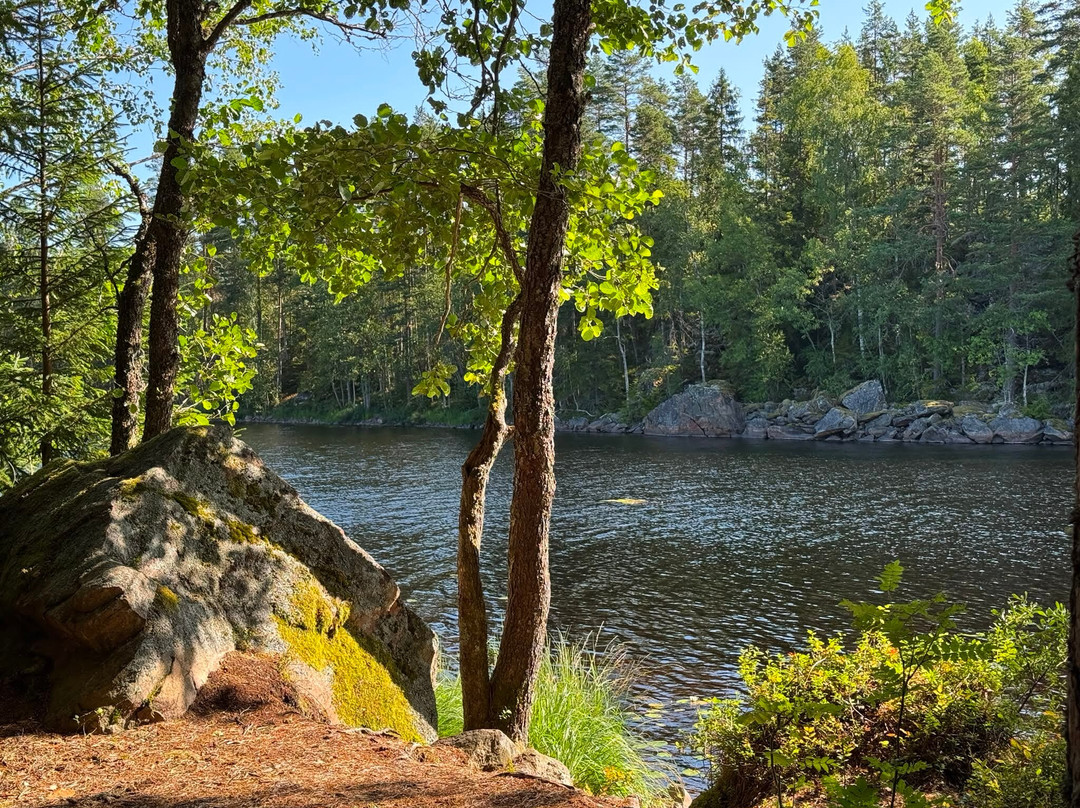 Glaskogens Naturreservat-Arvika必去景点