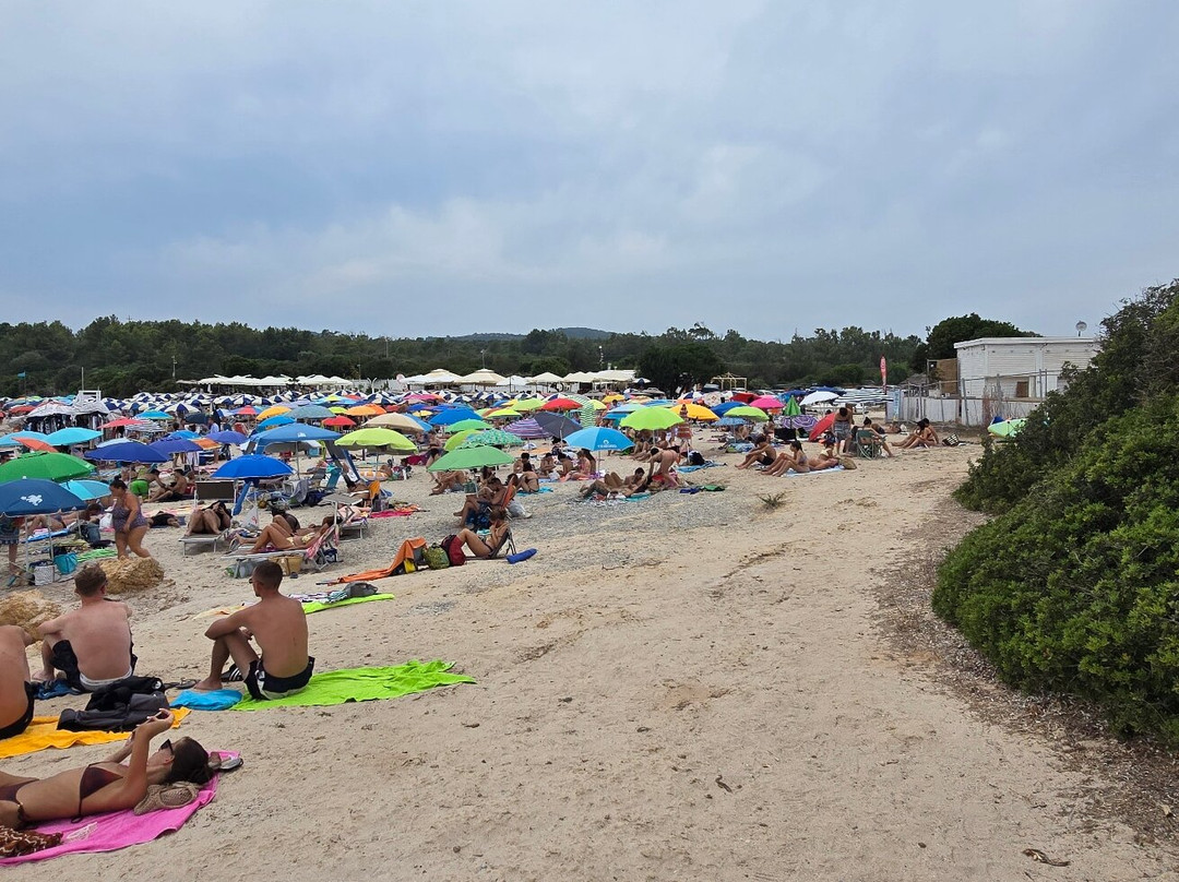 Spiaggia Del Lazzaretto-阿尔盖罗必去景点