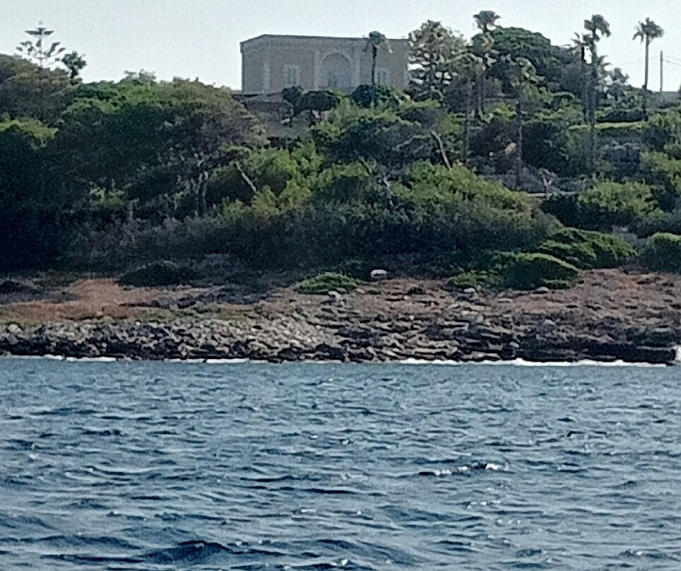 Calipso Experience Parasailing & Boat-Torre Vado必去景点