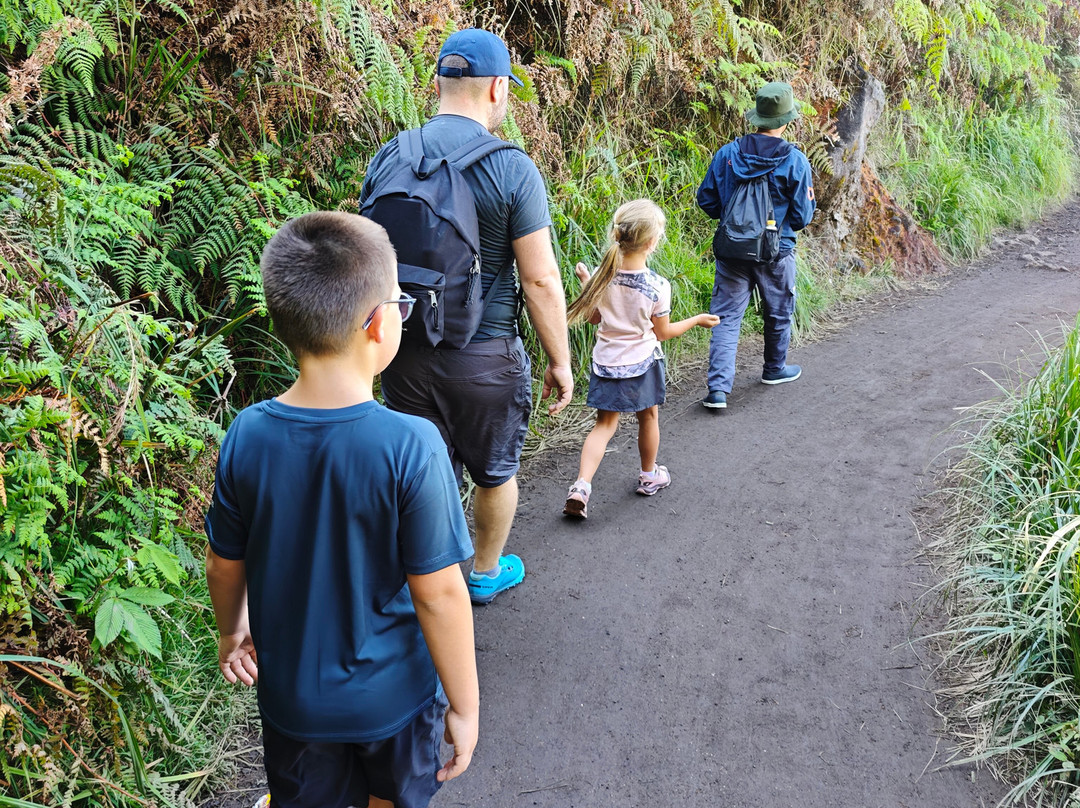 Ijen Blueflame Tour - Day Tours-巴纽旺宣必去景点