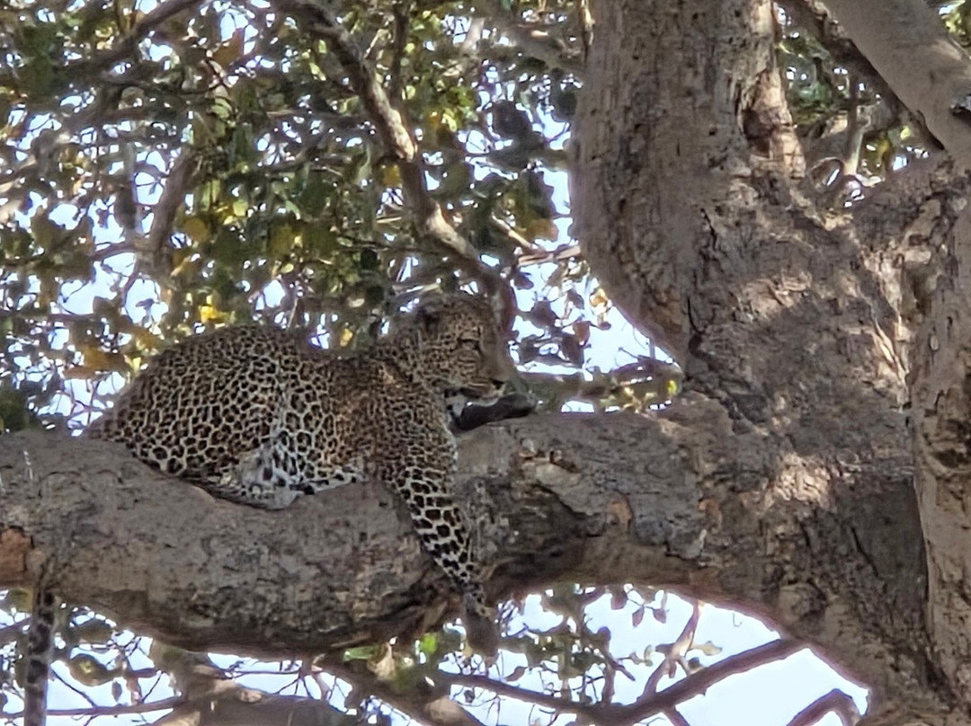 Furahia Tanzania Safari & Trekking Ltd-阿鲁沙必去景点
