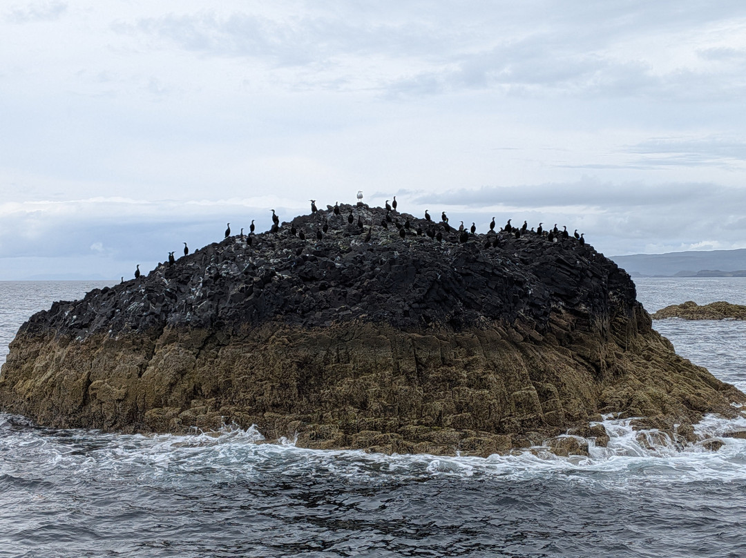 Mull Wildlife Breaks-Salen必去景点