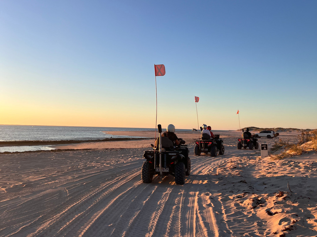 Coastal Adventure Tours (wa)-珊瑚湾必去景点