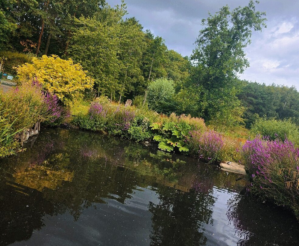 WWT Washington Wetland Centre-Washington必去景点