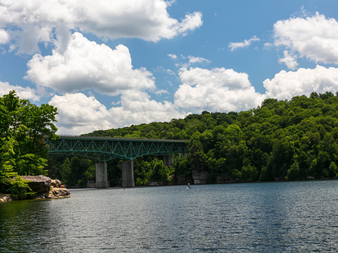 Johnson's Pontoon