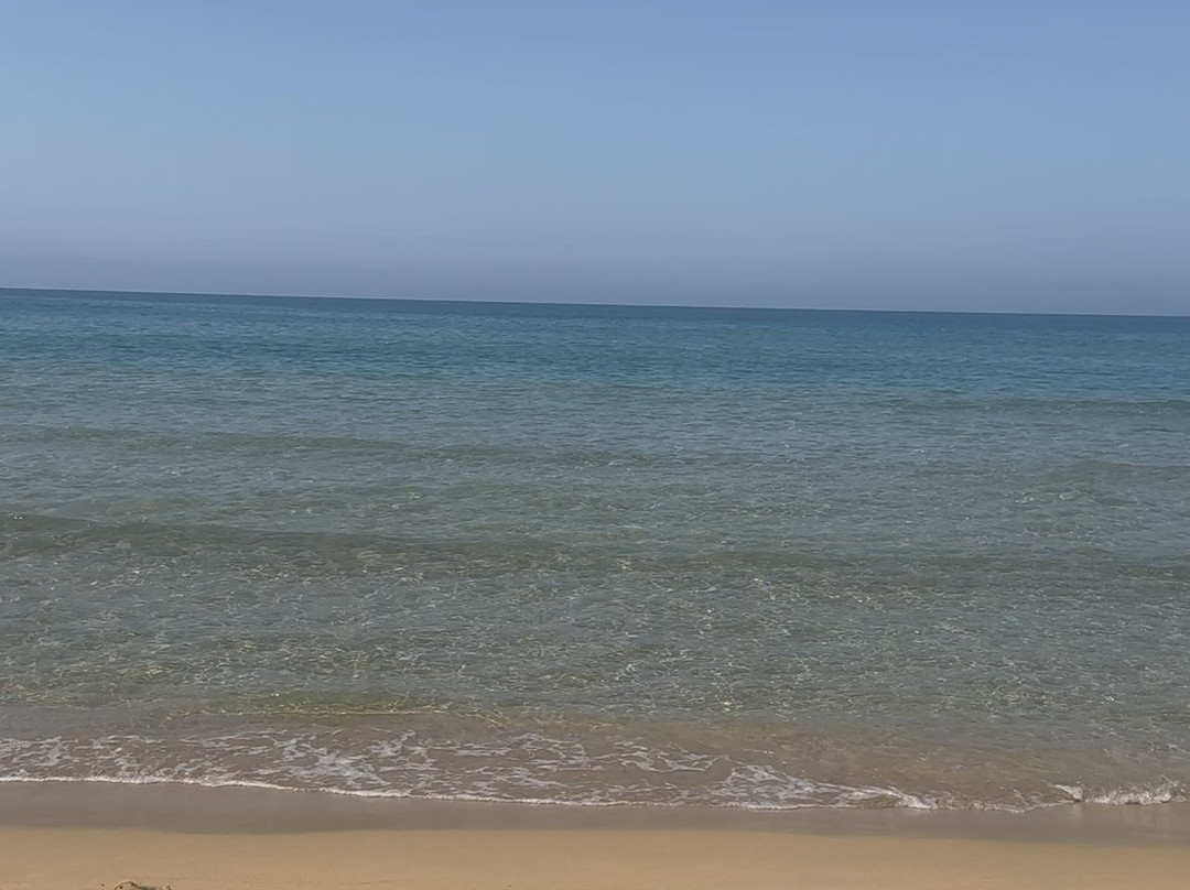 Lido Dune Beach