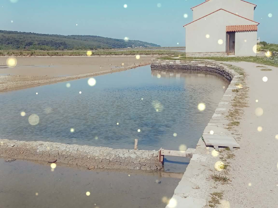 Secovlje Salina Nature Park-Seca必去景点