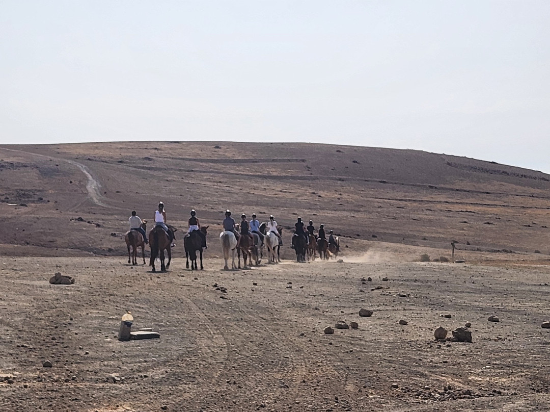 Lanzarote a Caballo-兰萨罗特必去景点