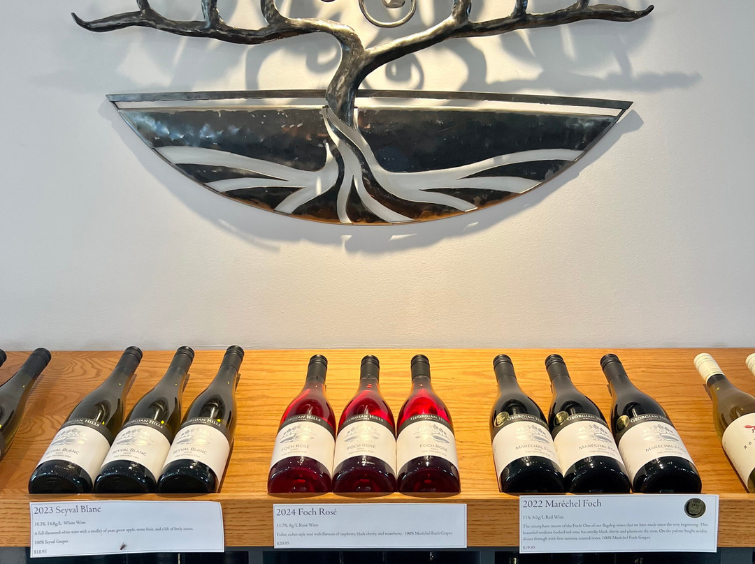 Georgian Hills Vineyards-蓝山必去景点