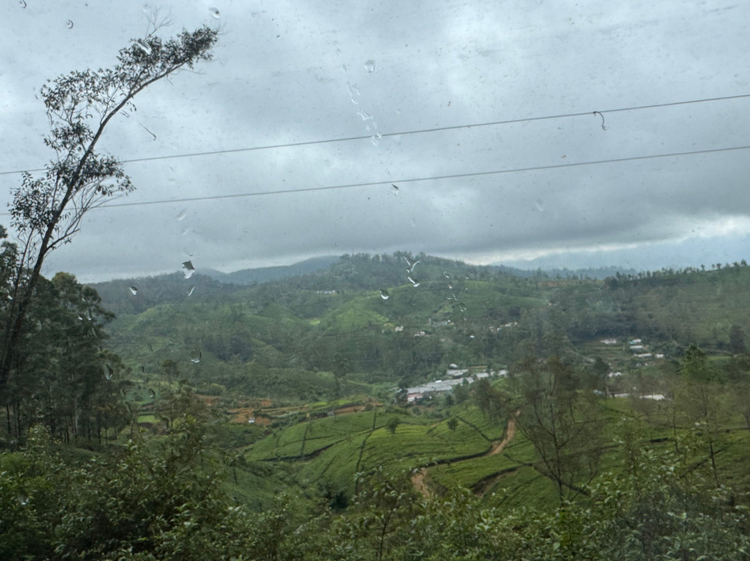 Indika Travel and Tourism Sri Lanka-Kadawata必去景点