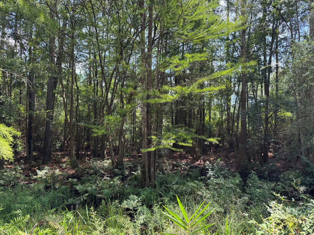Blackwater Heritage State Trail-Milton必去景点