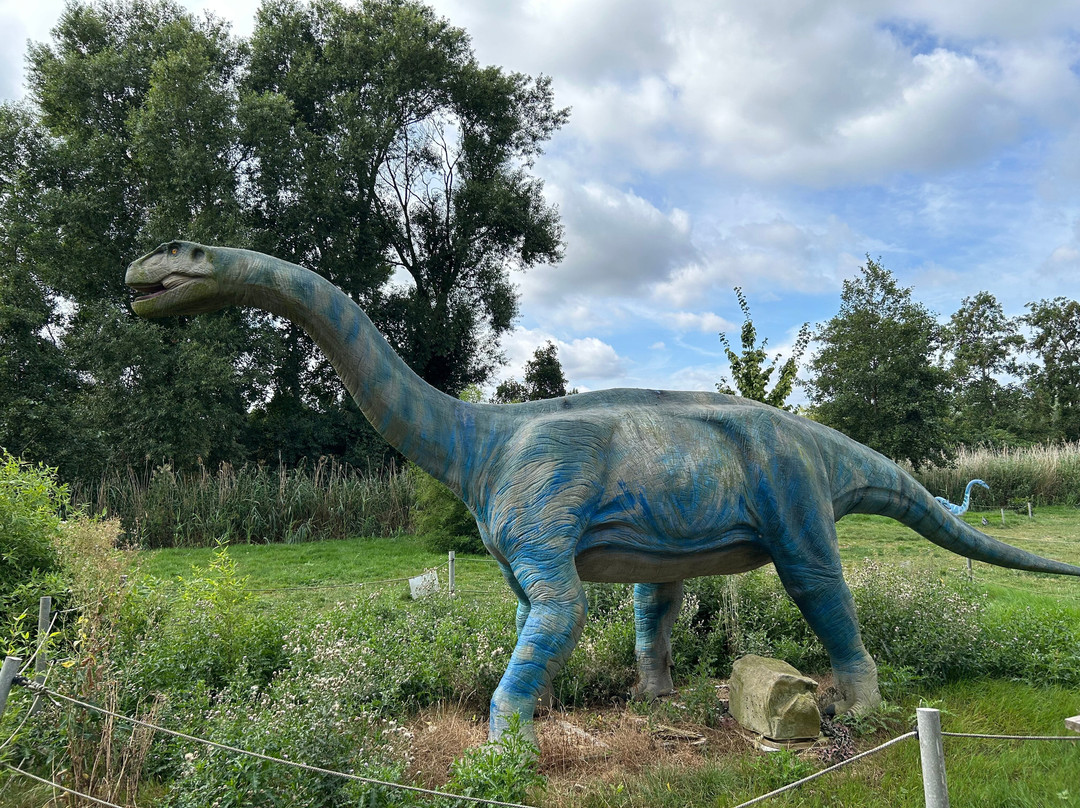 Dino Experience Park-高德必去景点