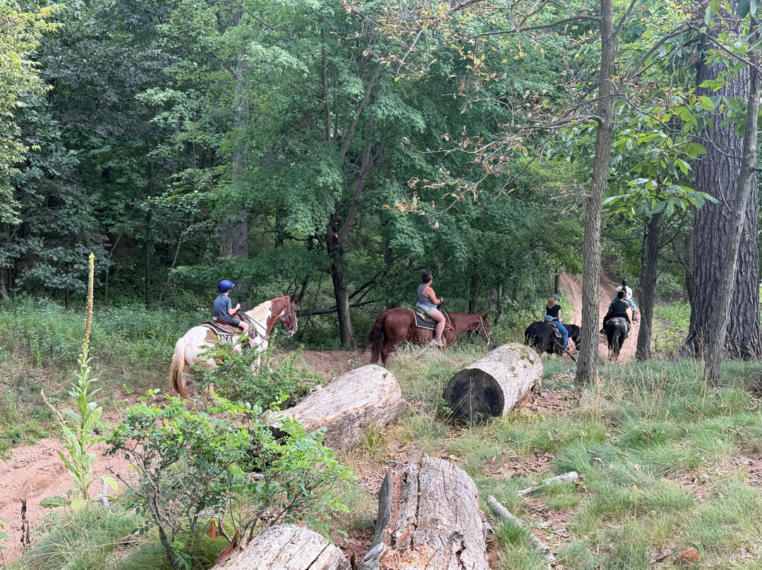 Canyon Creek Horseback Riding Stables-Lake Delton必去景点