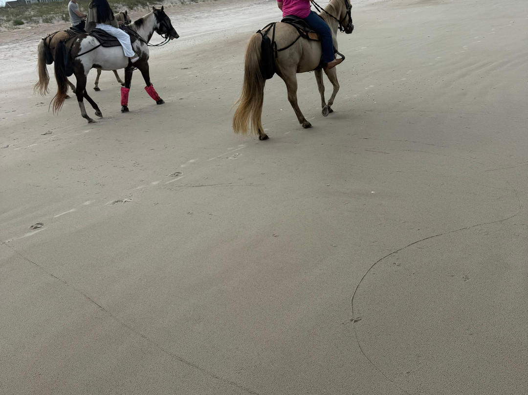 Amelia Island Horseback Riding-费尔南迪纳岛必去景点