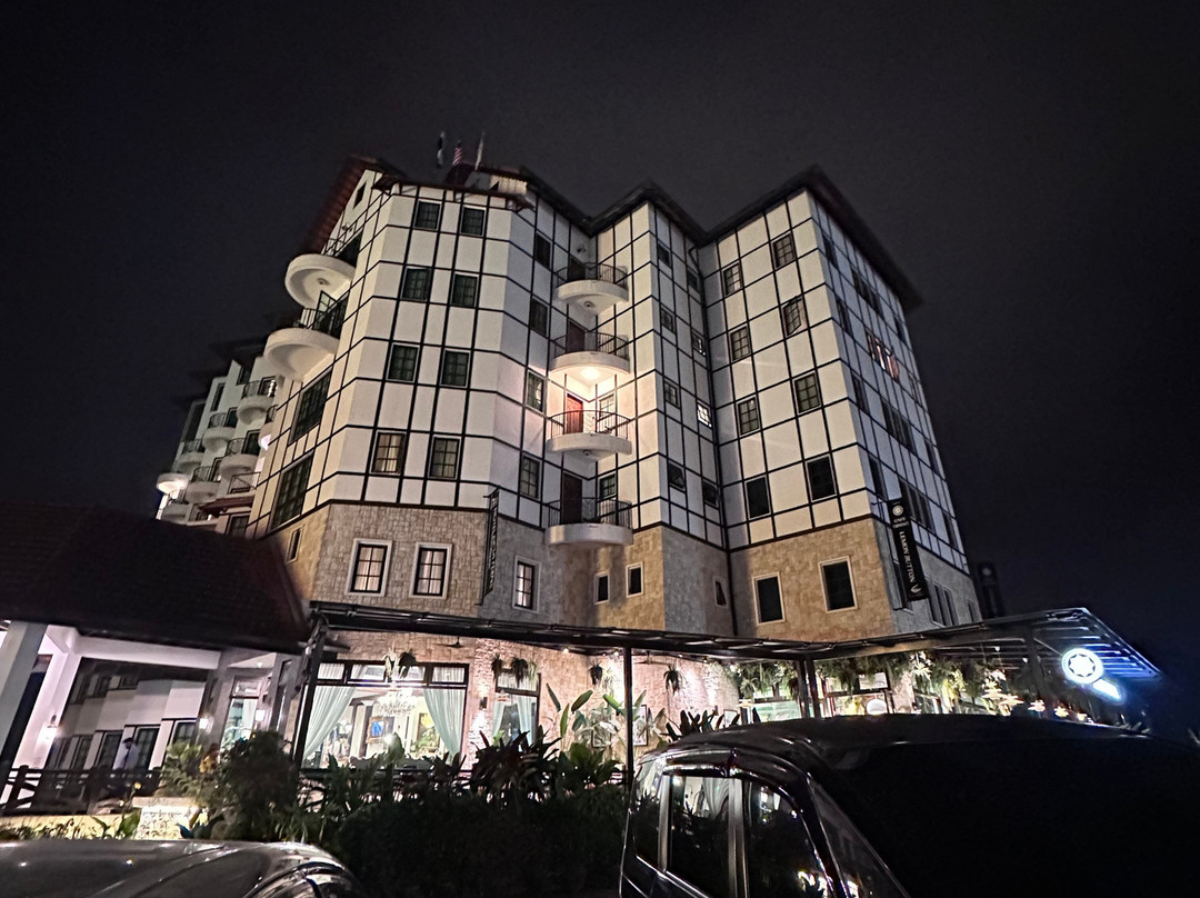 迪拉芬斯酒店主图
