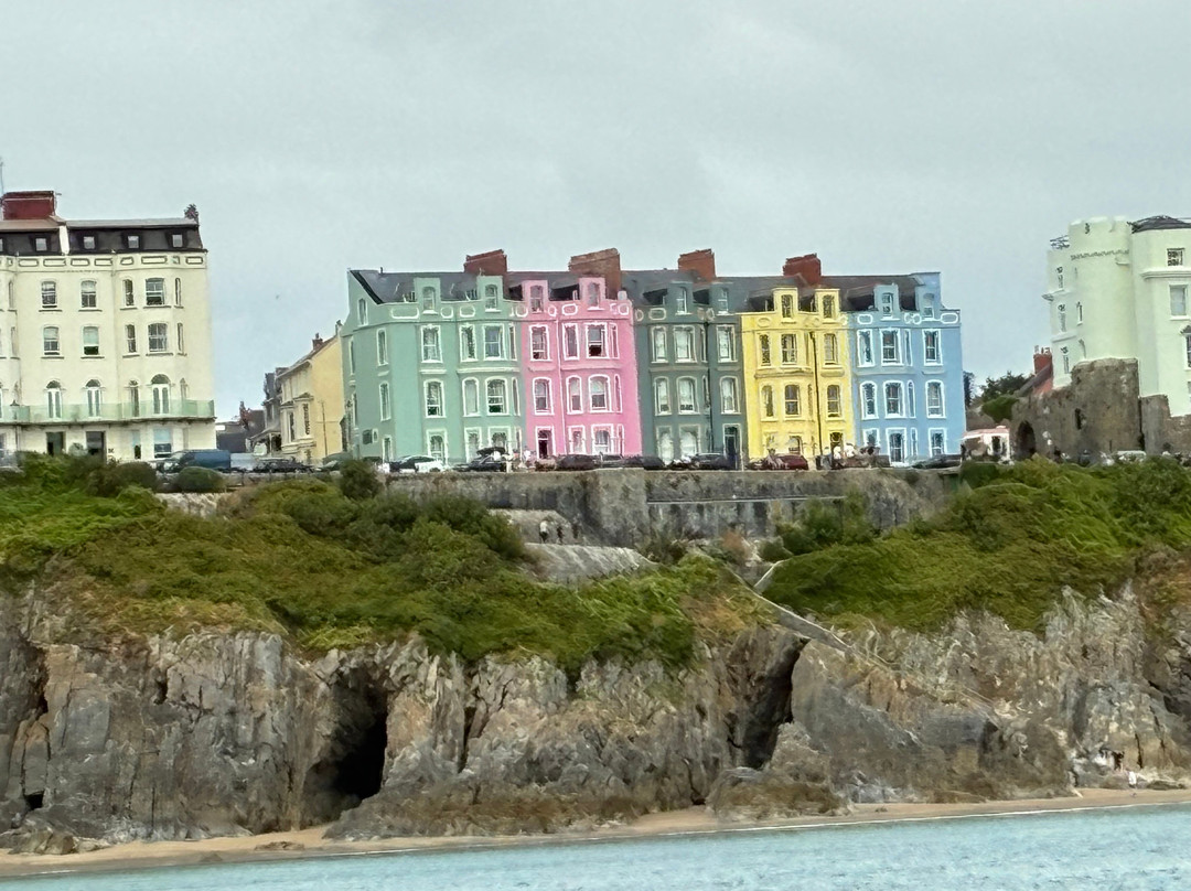 Saundersfoot Sea Safari-桑德斯富特必去景点