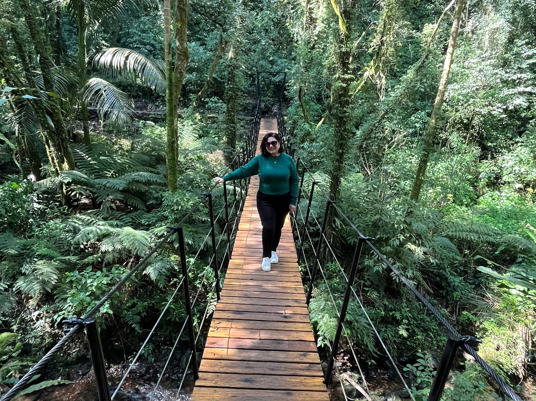 Garden Park Gramado-格拉玛多必去景点
