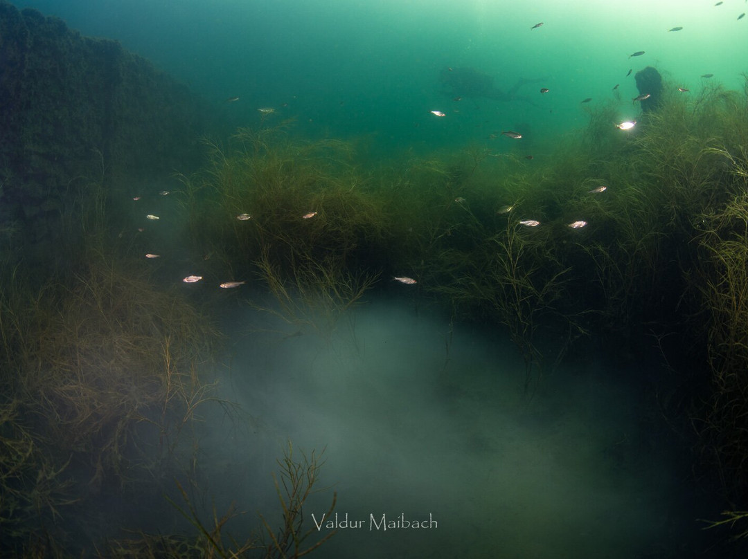 Rummu Diving-塔林必去景点