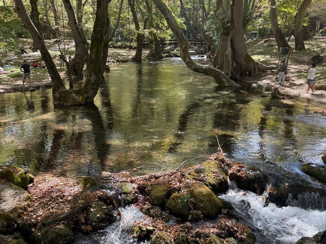 Agios Nikolaos Park-Naousa必去景点