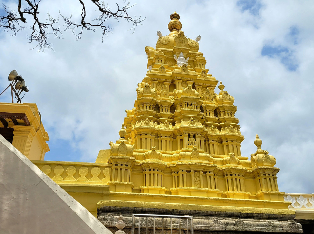 Sri Chamundeshwari Temple-迈索尔必去景点