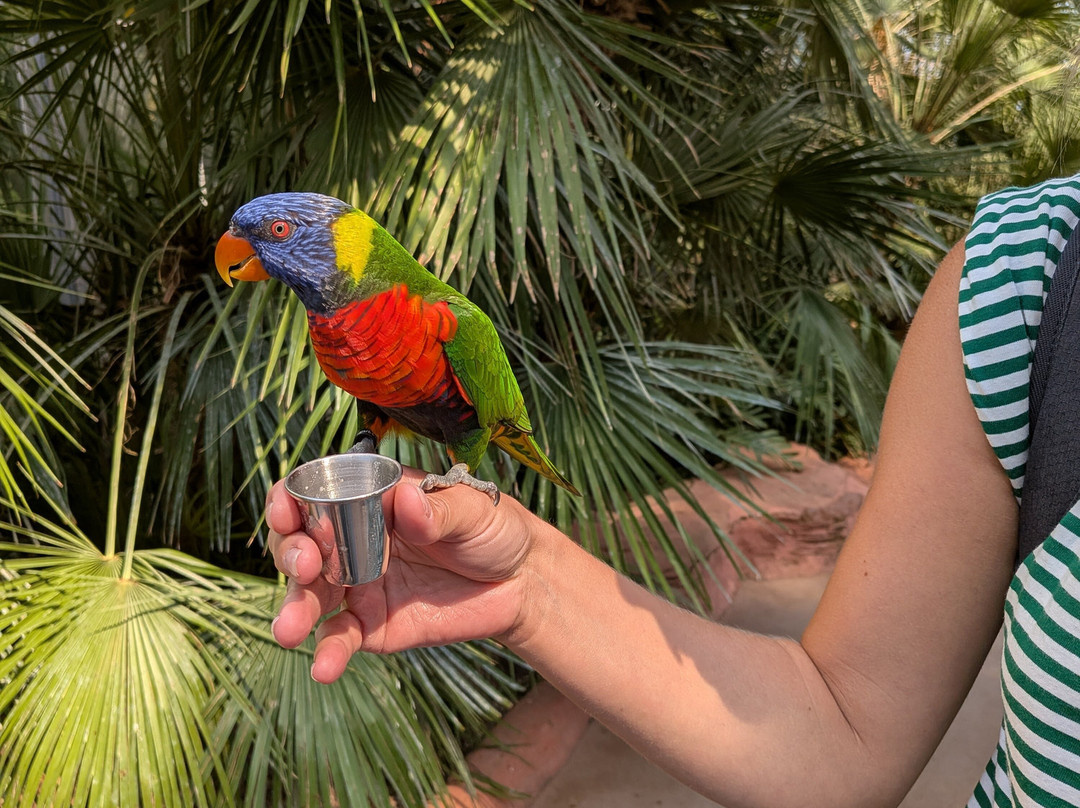 Vogelpark Avifauna-Alphen aan den Rijn必去景点