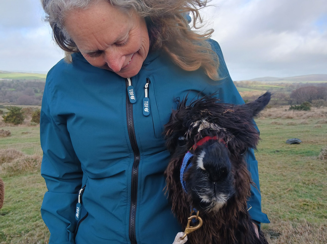 Lydford Gorge Alpacas-Lydford必去景点
