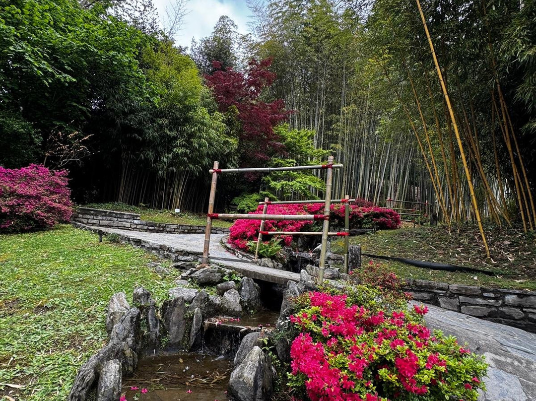 卡洛塔庄园-特雷梅佐必去景点