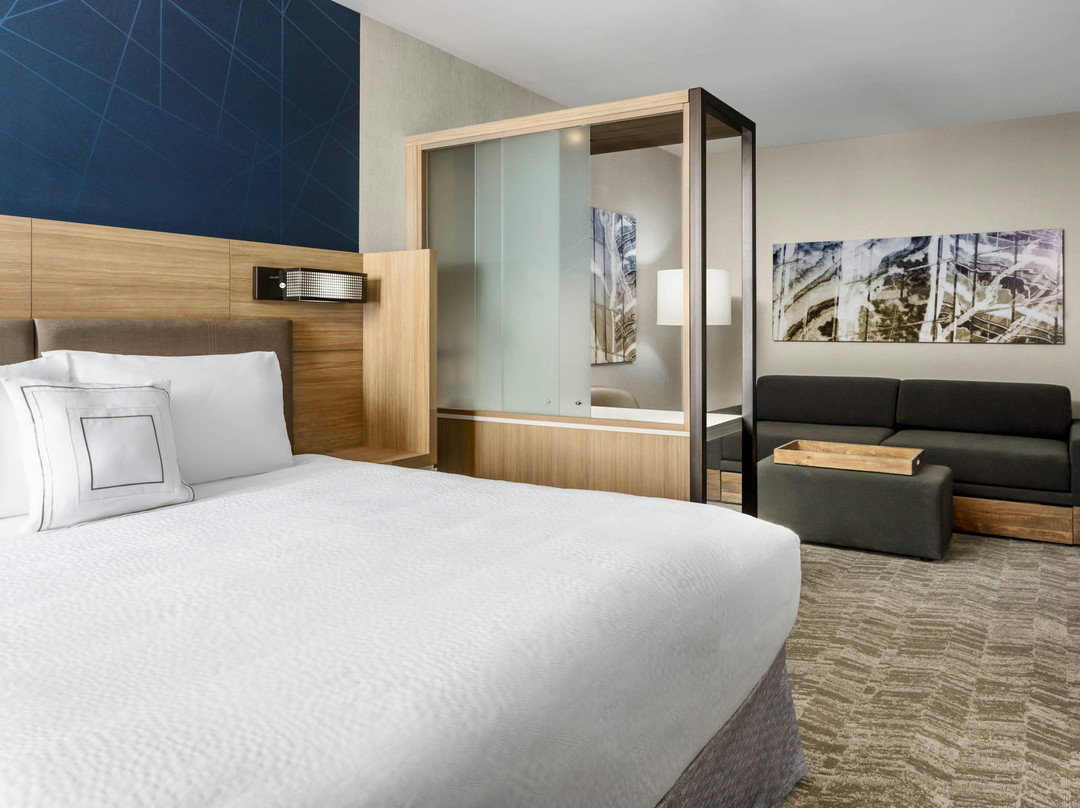 贝尔蒙特酒店住宿-SpringHill Suites by Marriott Belmont Redwood Shores