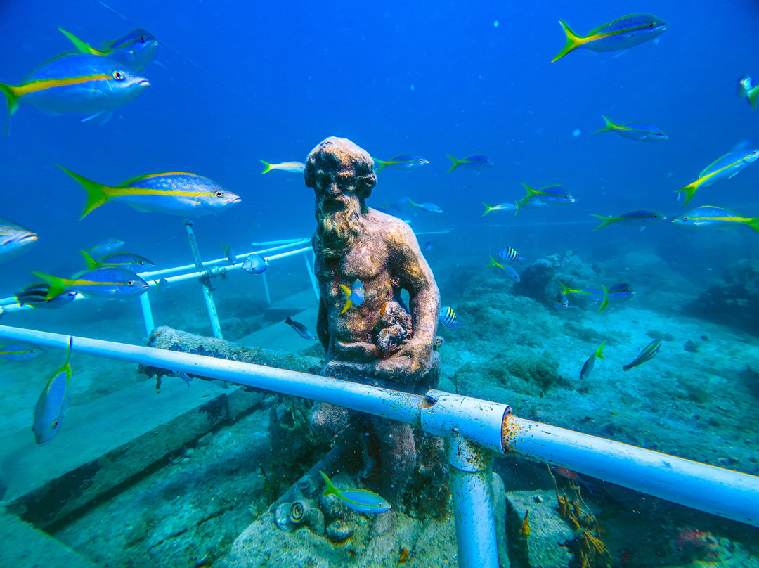 Sea Trek St. Maarten-菲利普斯堡必去景点