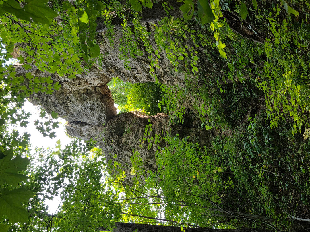 Frontenac State Park-Frontenac必去景点