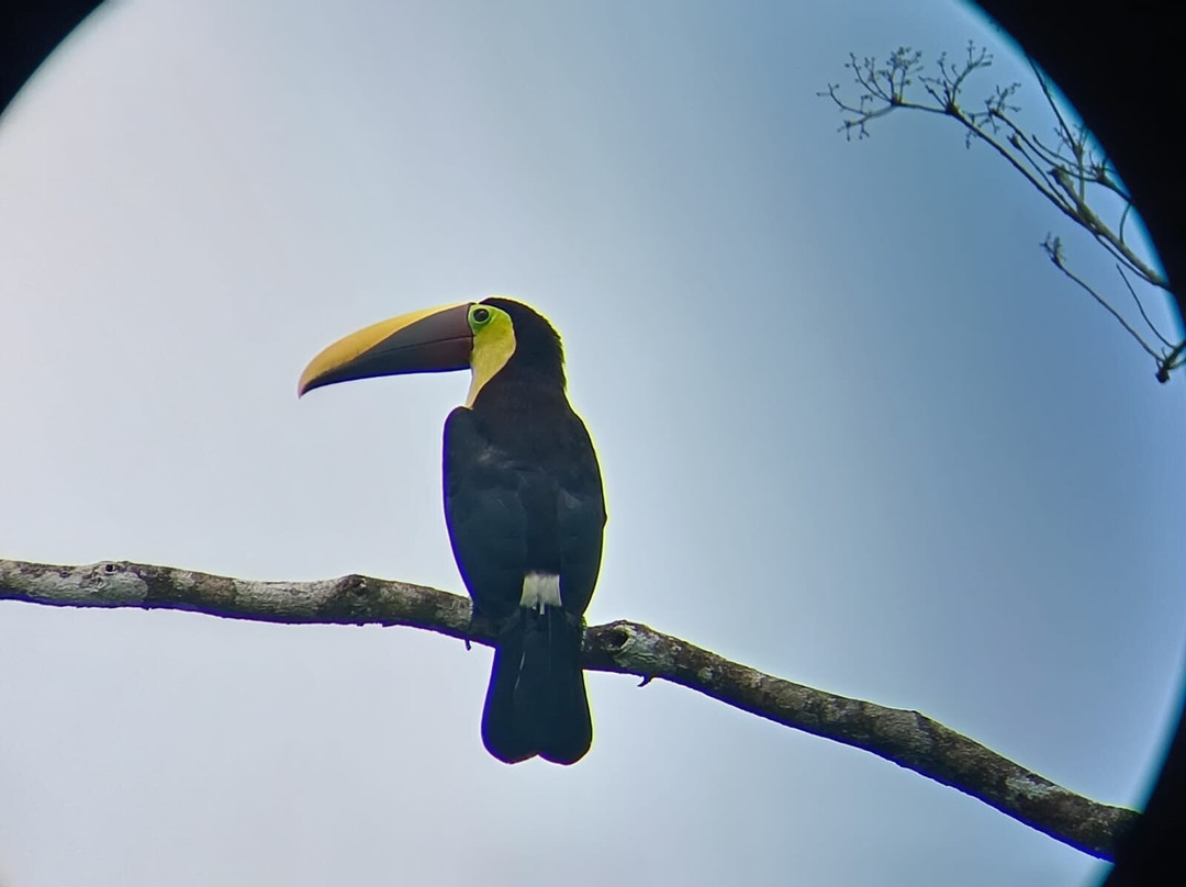 Issys Tours Costa Rica-萨迪纳尔必去景点