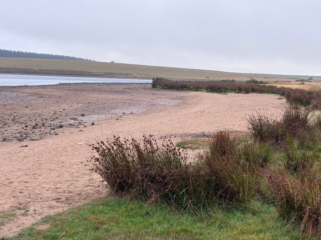Crowdy Reservoir-Camelford必去景点