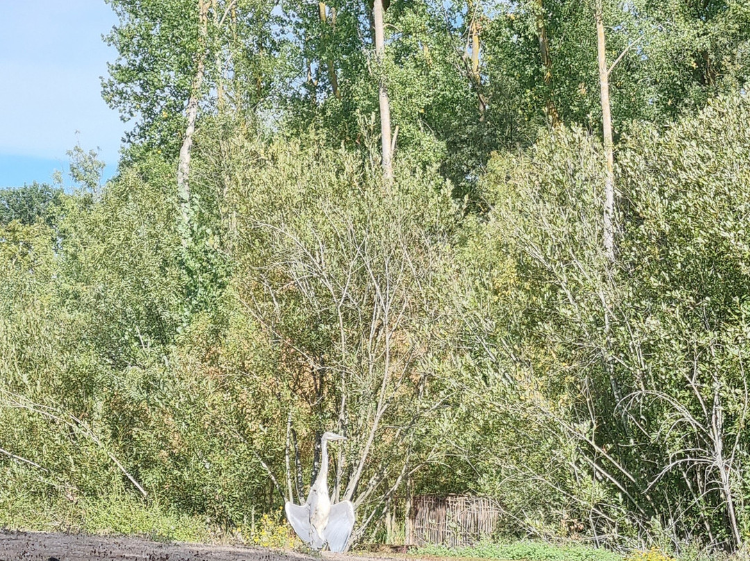 Oiseaux du Marais Poitevin-Saint-Hilaire-la-Palud必去景点