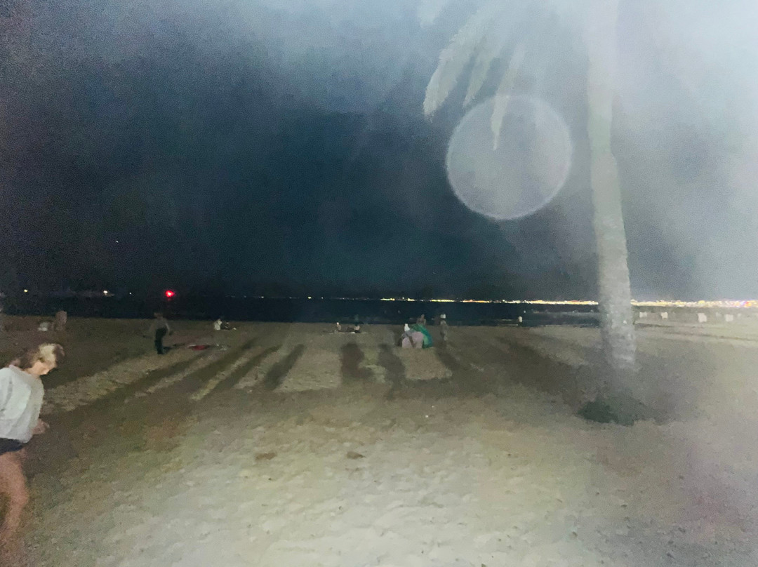 Playa de Palma-马洛卡帕尔马必去景点