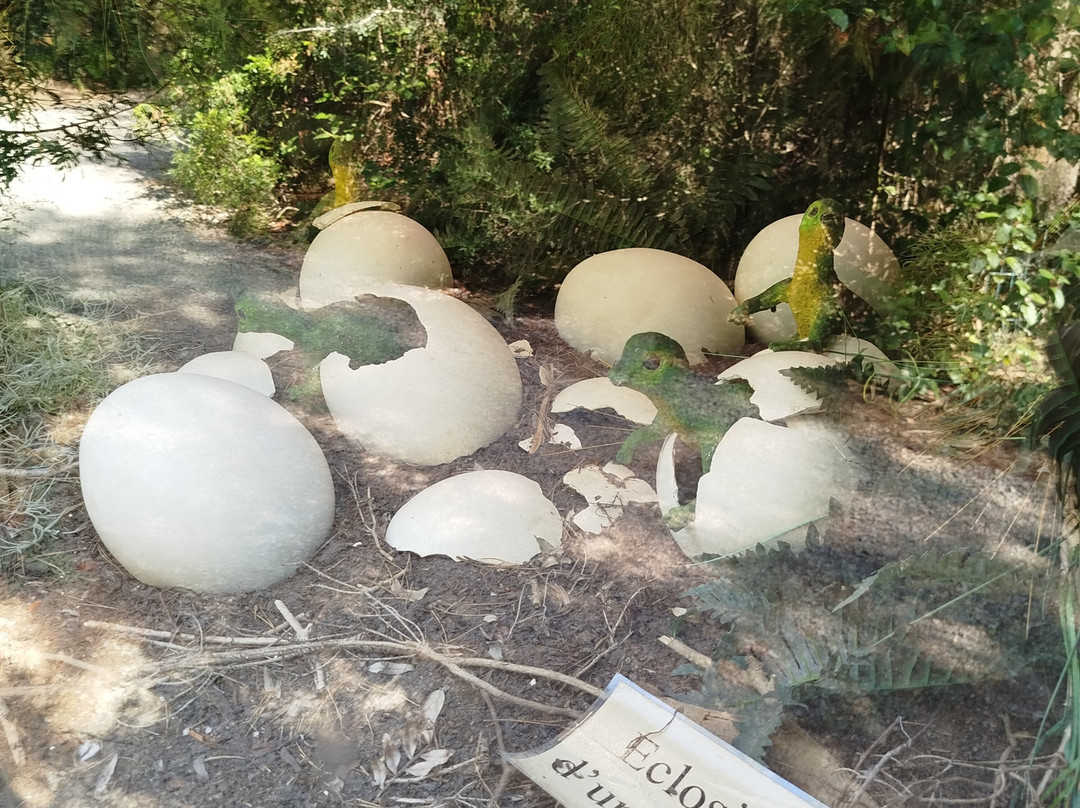 Musee - Parc des Dinosaures-Meze必去景点