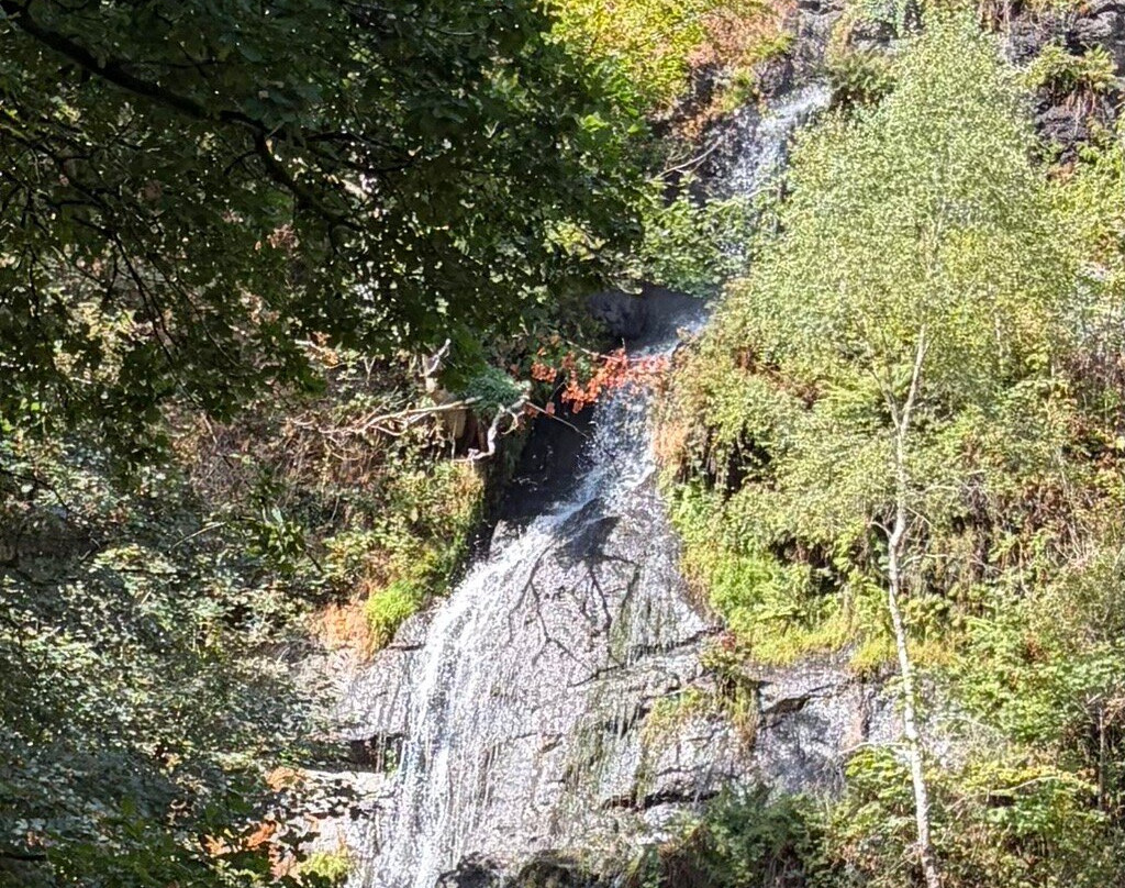 Canonteign Falls-Christow必去景点