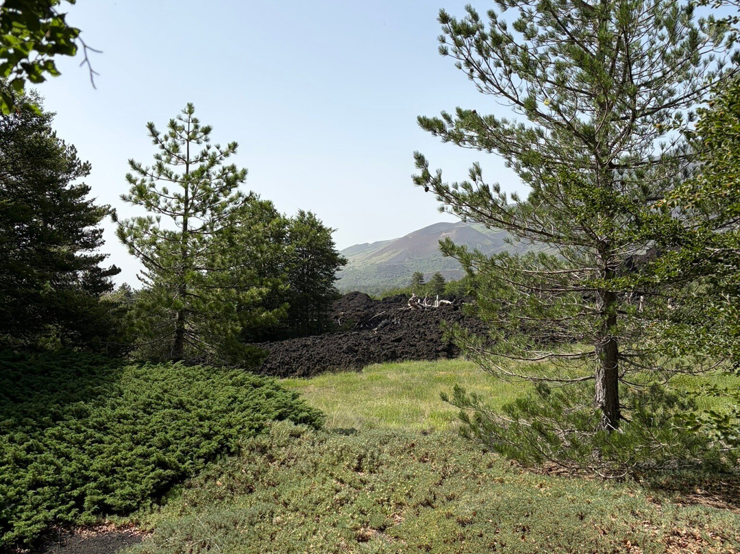 Etnaphonie-Gravina di Catania必去景点