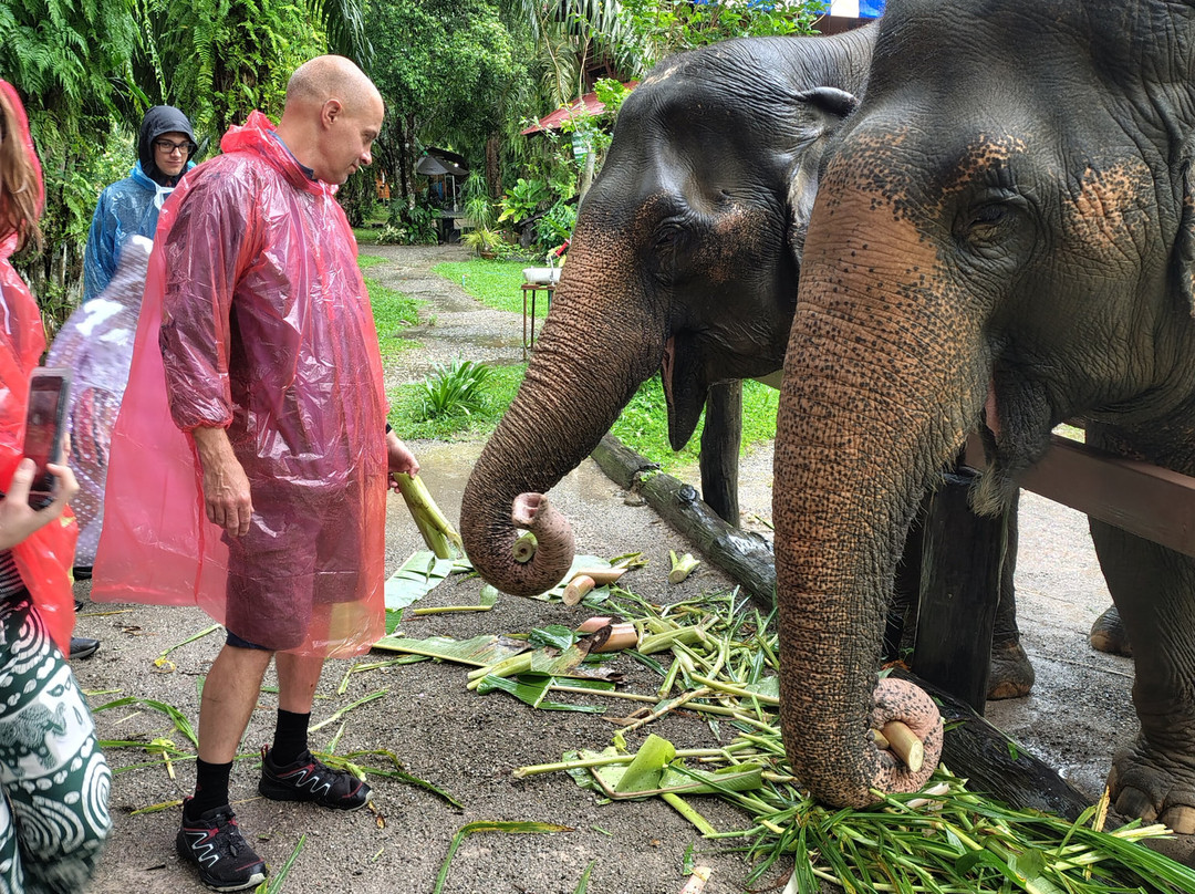 Khao Sok Elephant Sanctuary-拷索国家公园必去景点