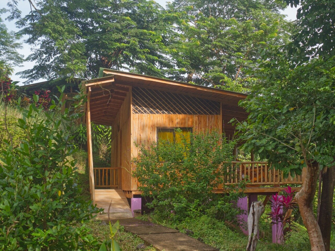 Finca Colibri Costa Rica