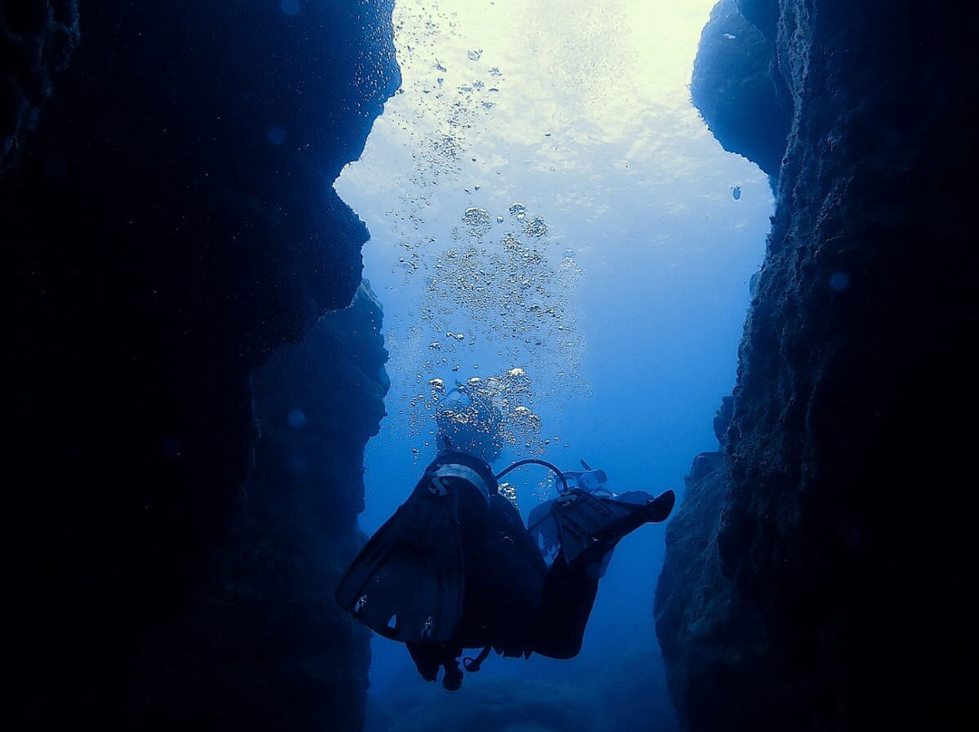 Atalaia Diving Center-Canico必去景点