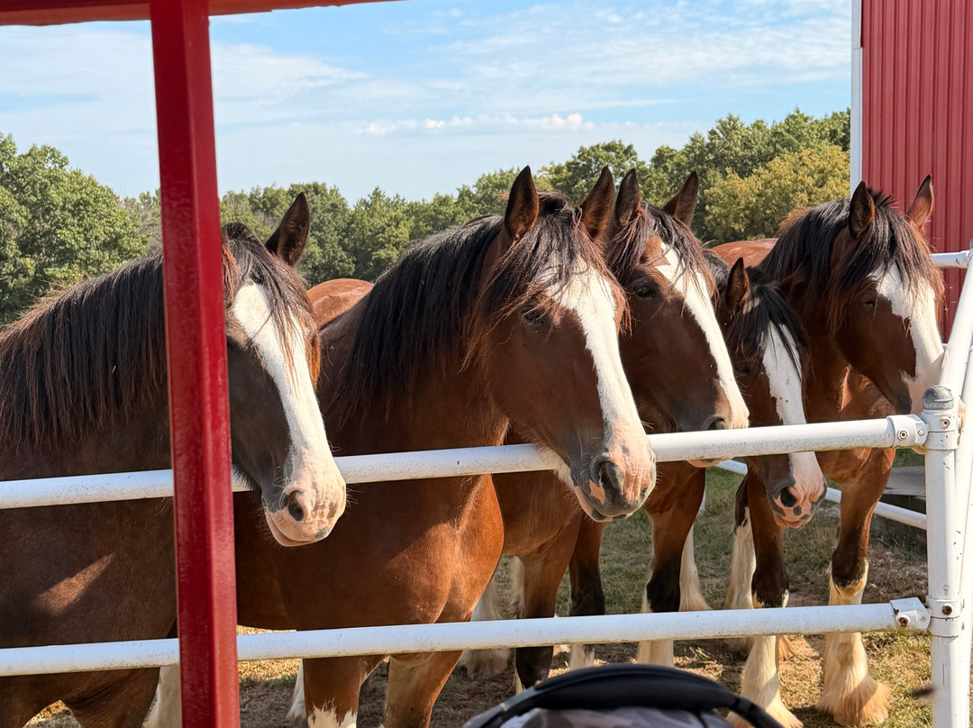 Warm Springs Ranch-Boonville必去景点