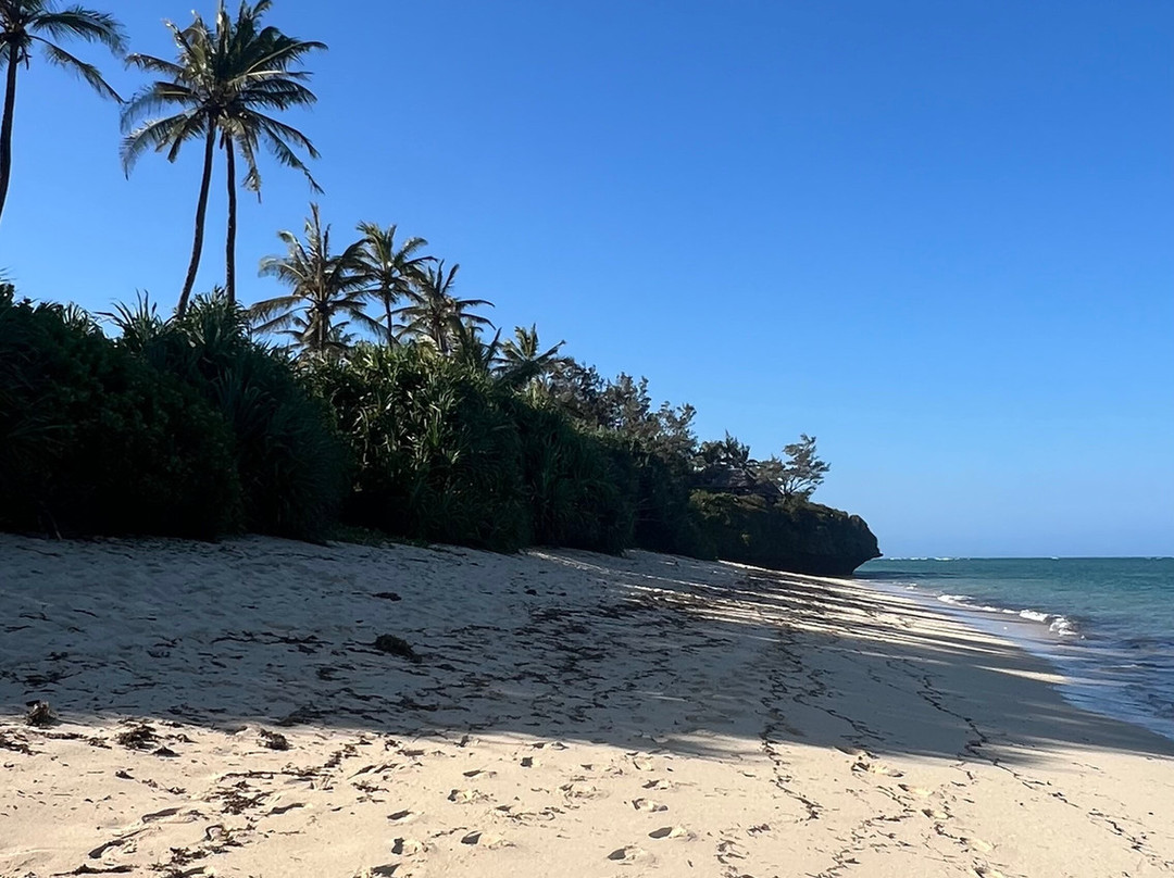 Cardamom House By Secluded Africa主图