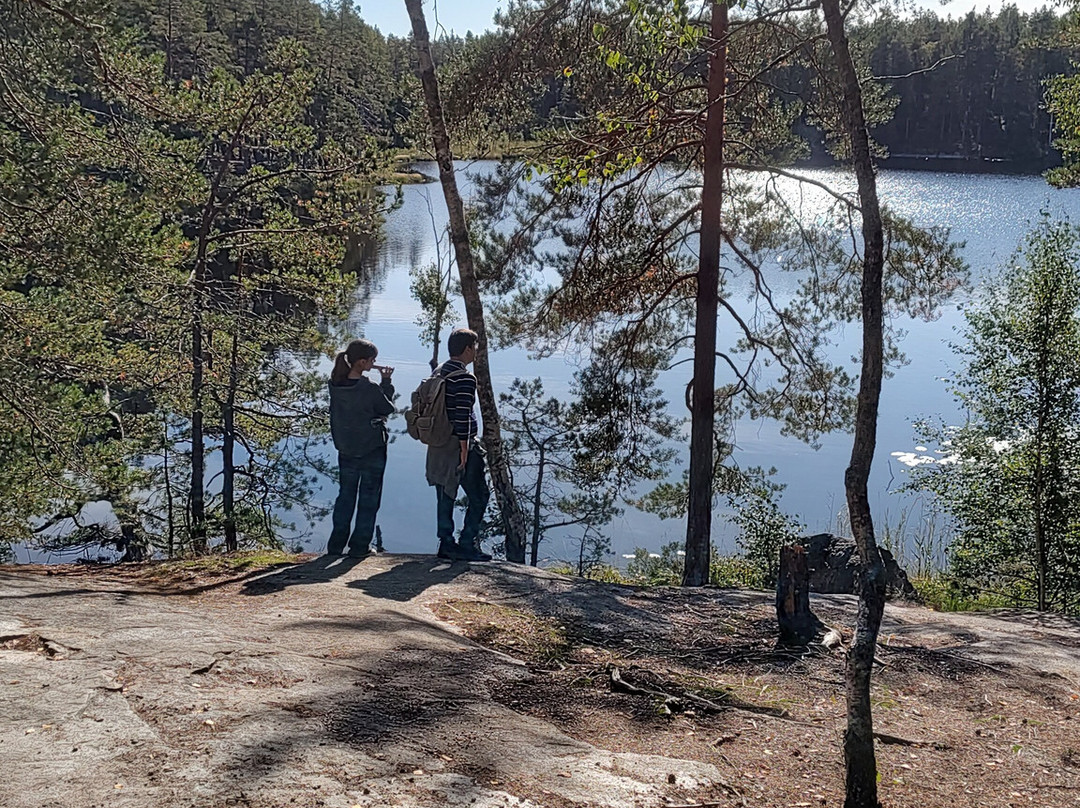 Tyresta National Park-Tyreso必去景点