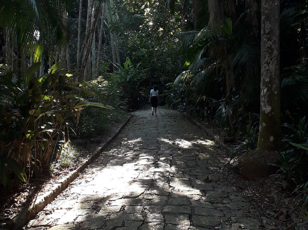 Jardim Botânico de São Paulo-圣保罗必去景点