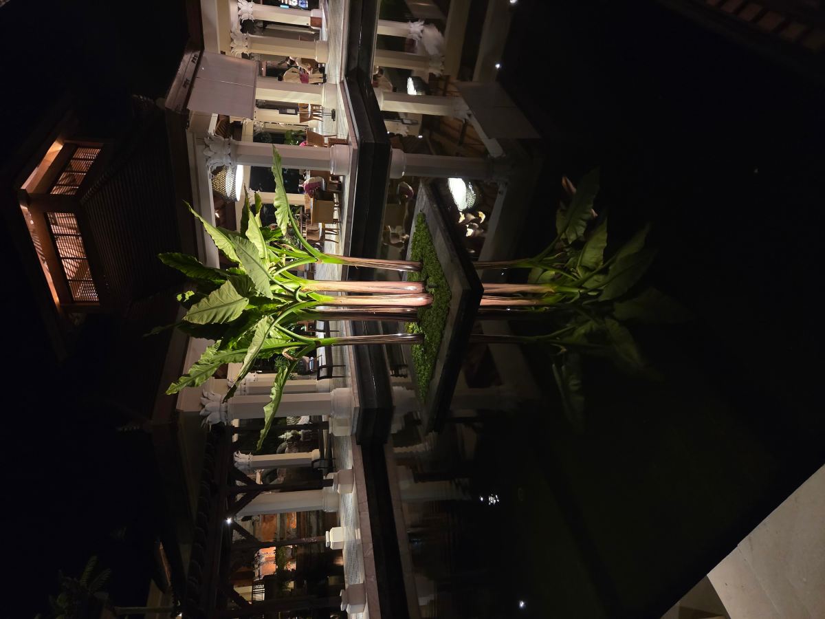 乌布帕德玛度假村-旅行者