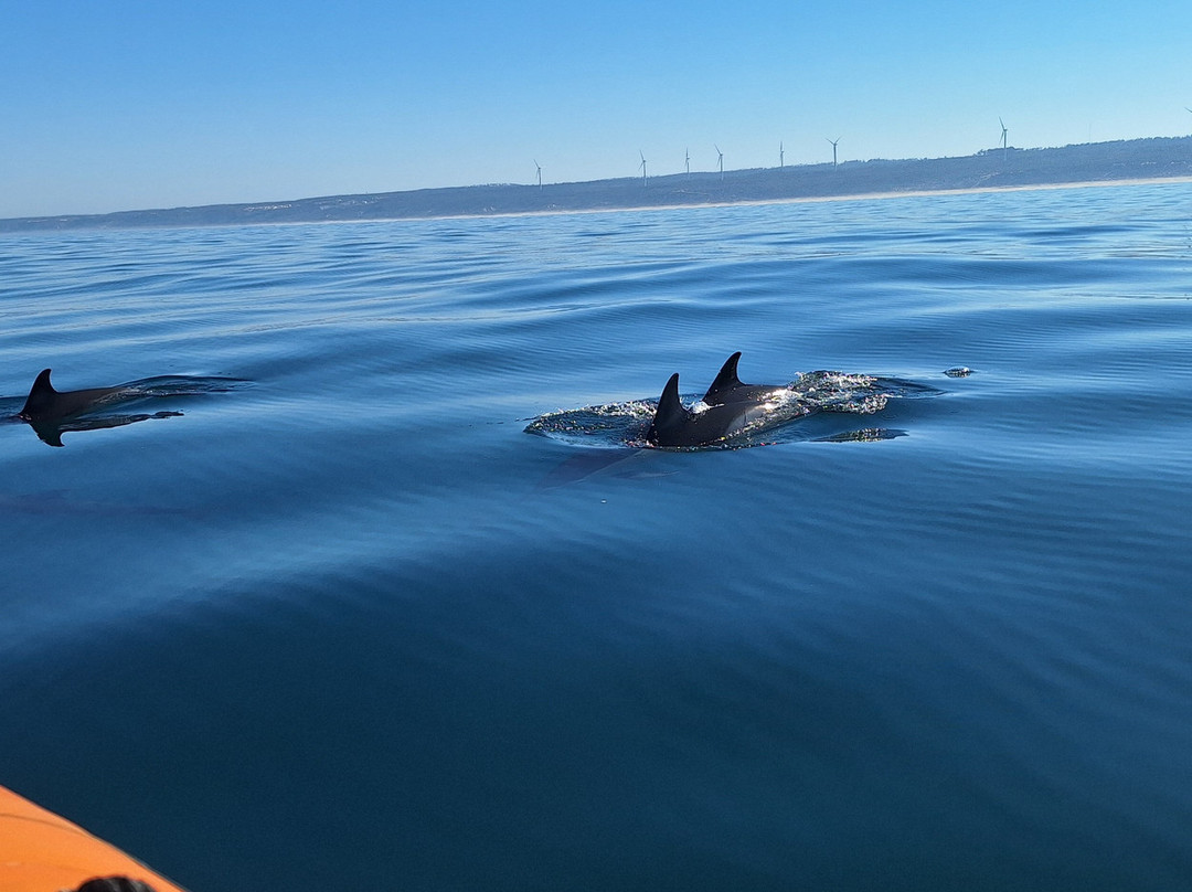 Nazaré On_da Wave-纳扎雷必去景点