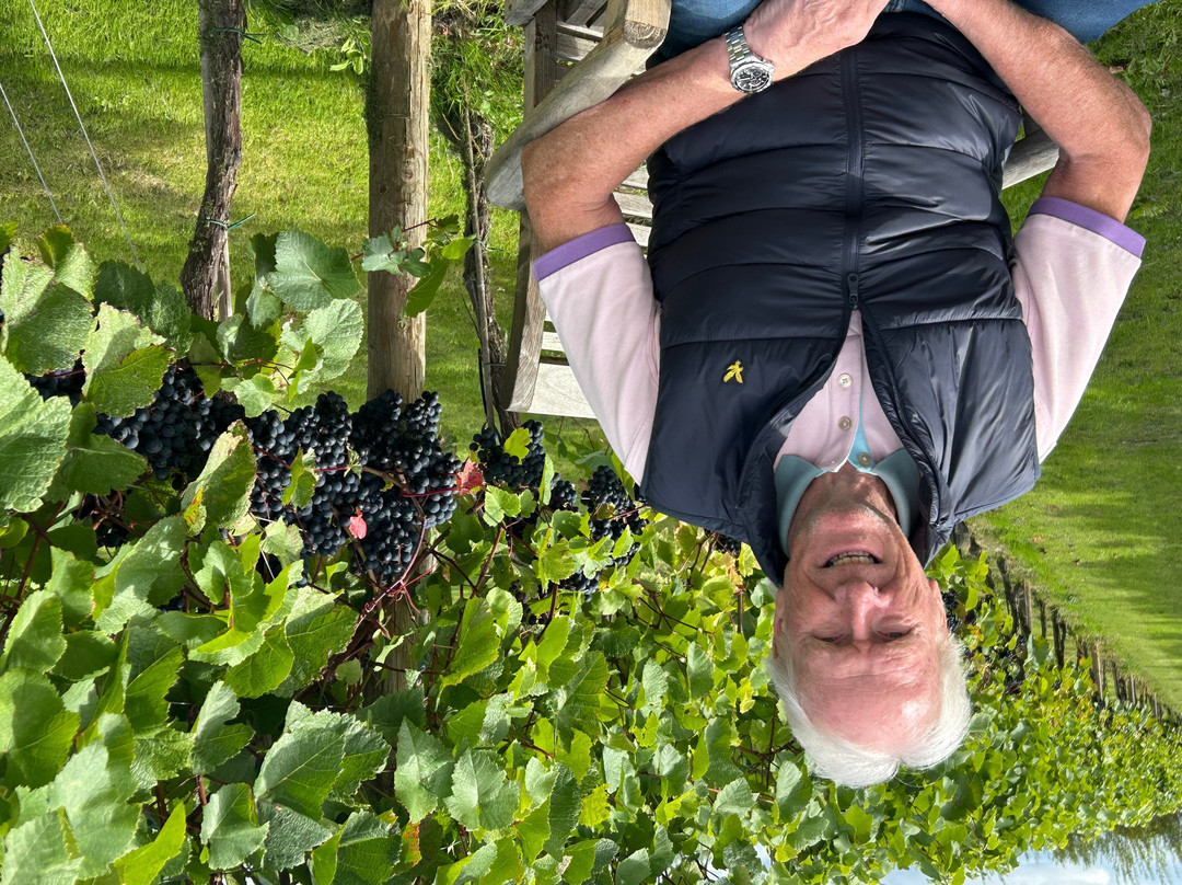 Yorkshire Heart Vineyard-约克必去景点
